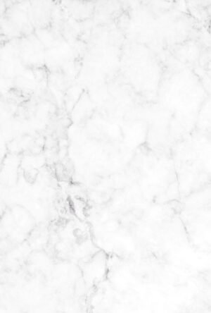 Makrana Pure White Marble